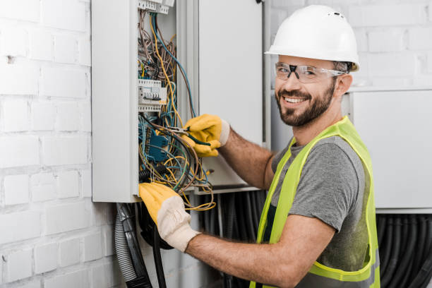 Best Electric Panel Repair  in Polk City, FL